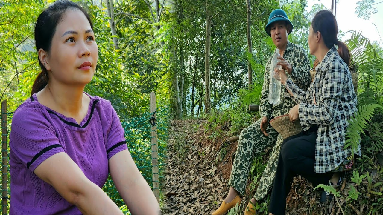 My husband went to the forest to dig yams for his wife to sell - Peaceful rural life