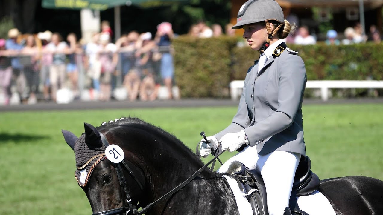 Celle 2019 / Hengstparade 2018 -  3.Teil -  Showblock 1  im Landesgestüt Celle