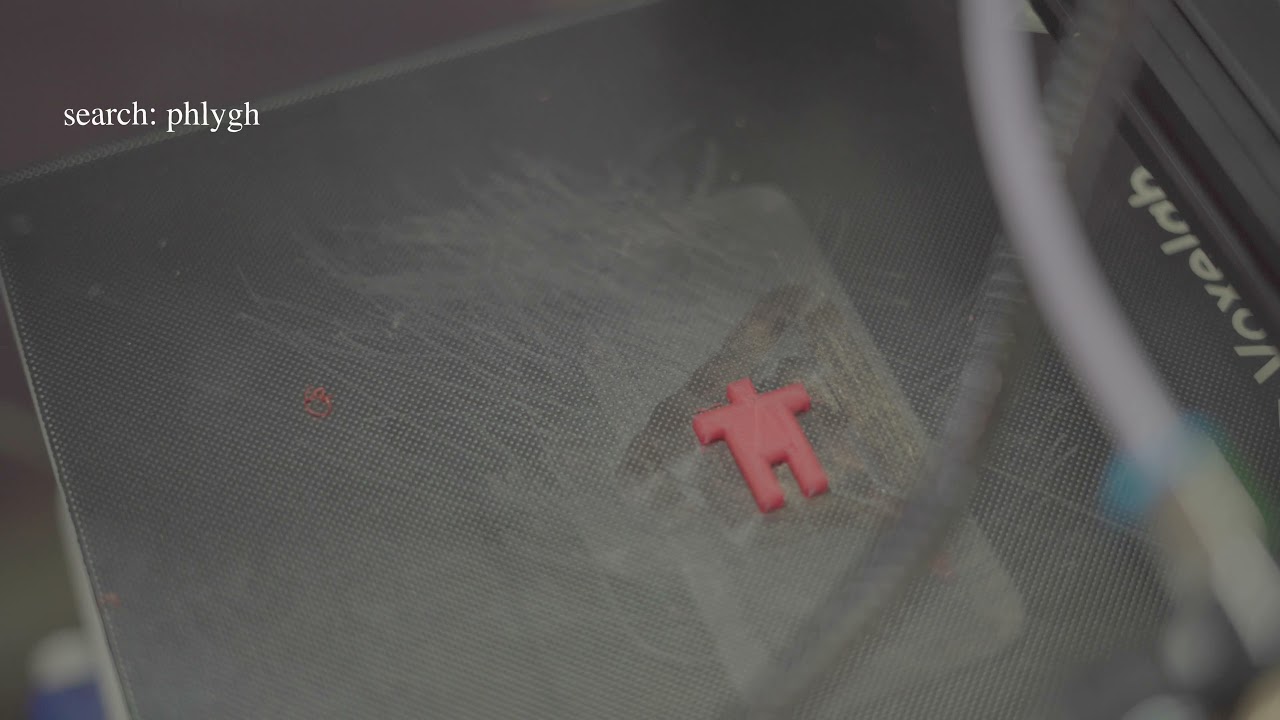 Test Prints w/ Voxelab Aquila 3D Printer #phlygh 🪰