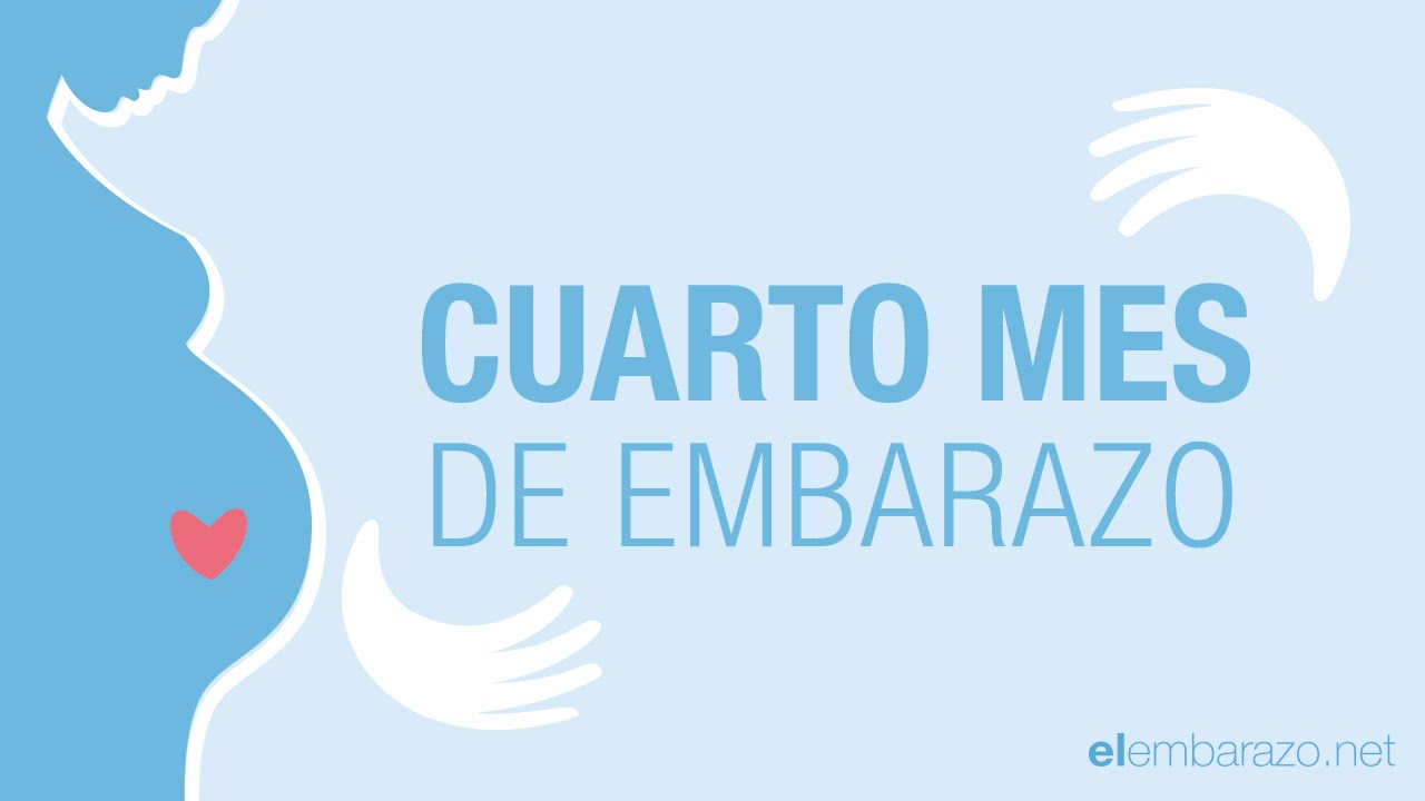 Cuarto mes de embarazo | 4 meses de embarazo | El embarazo mes a mes