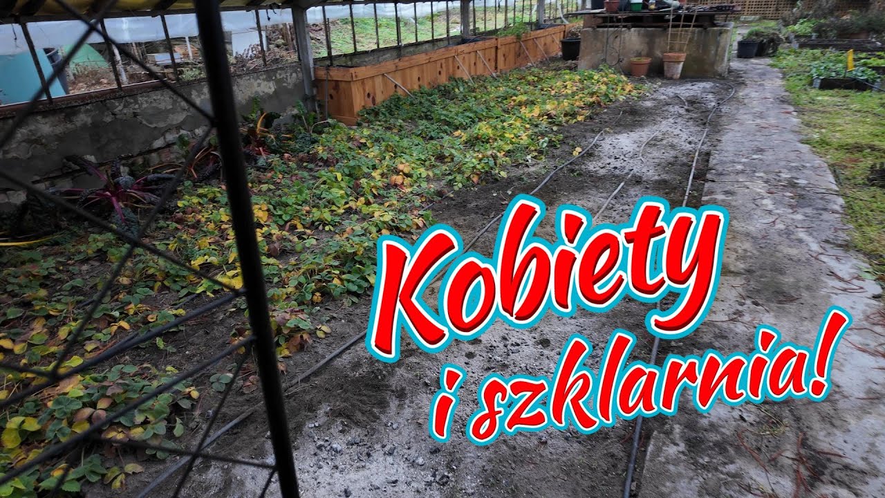 Kobiety i szklarnia - po sezonie