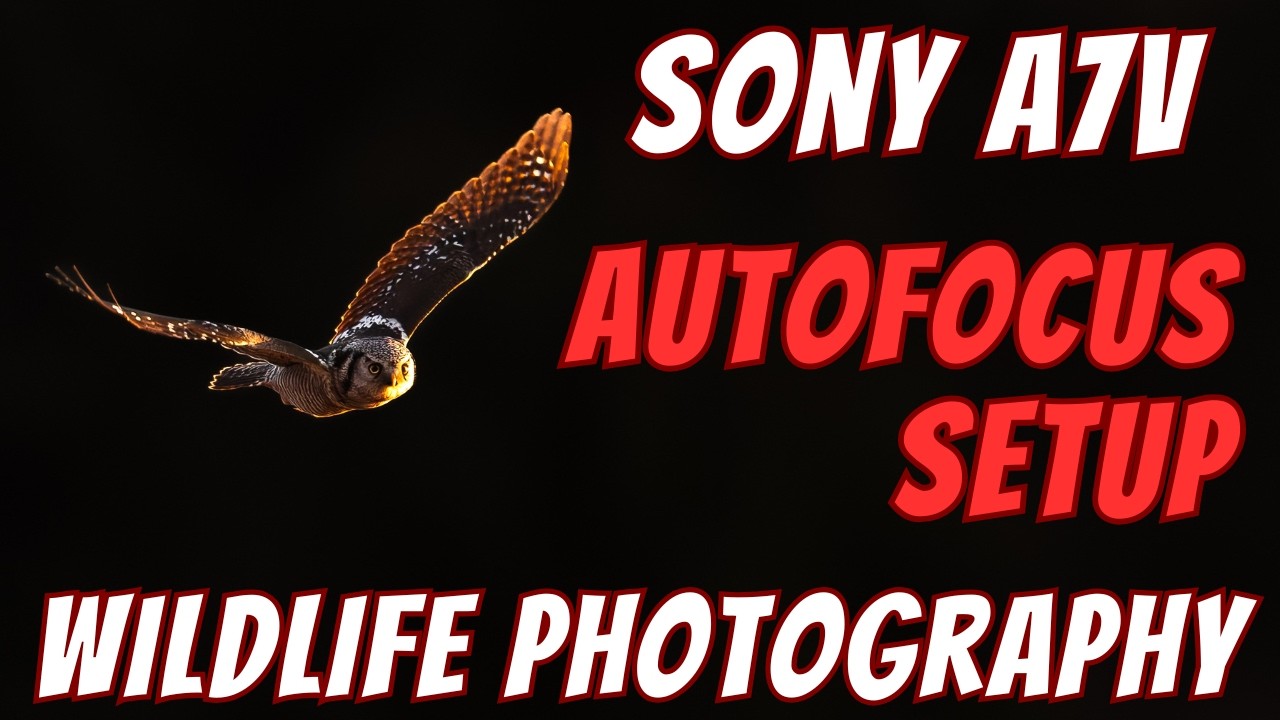 Sony A7V- Bird and Wildlife Photography Autofocus Setup