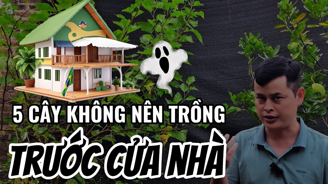 5 Loại cây không nên trồng trước cửa nhà bạn
