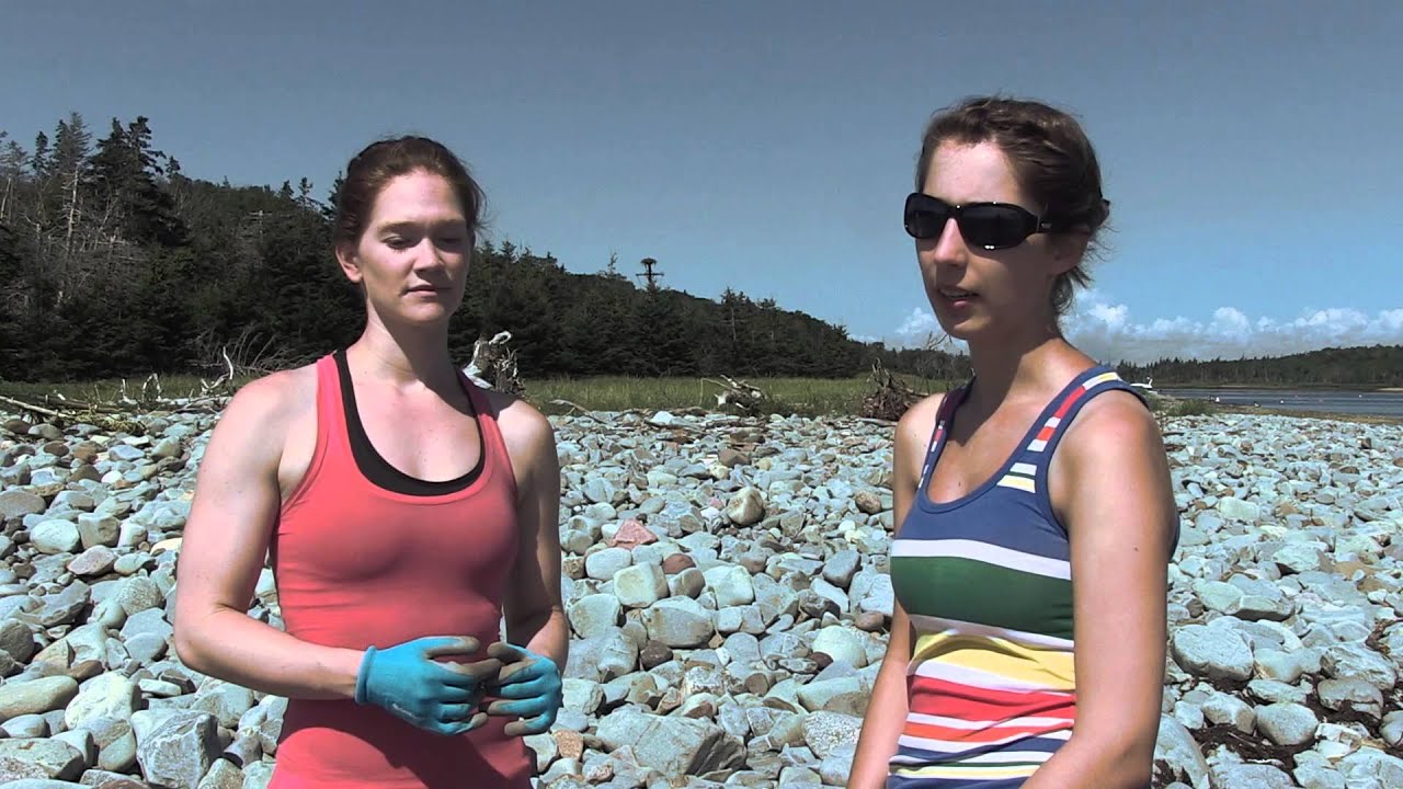 Cleaning Up McNabs Island