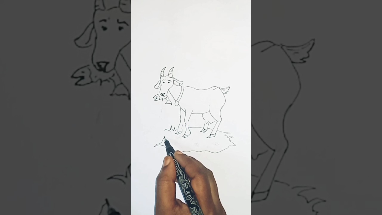 Goat Pen Drawing...