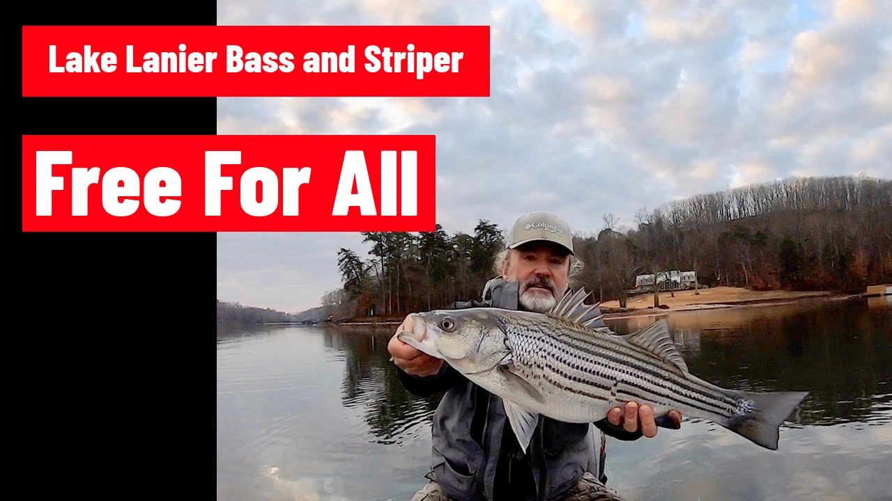 Lake Lanier Bass And Striper Surface Action