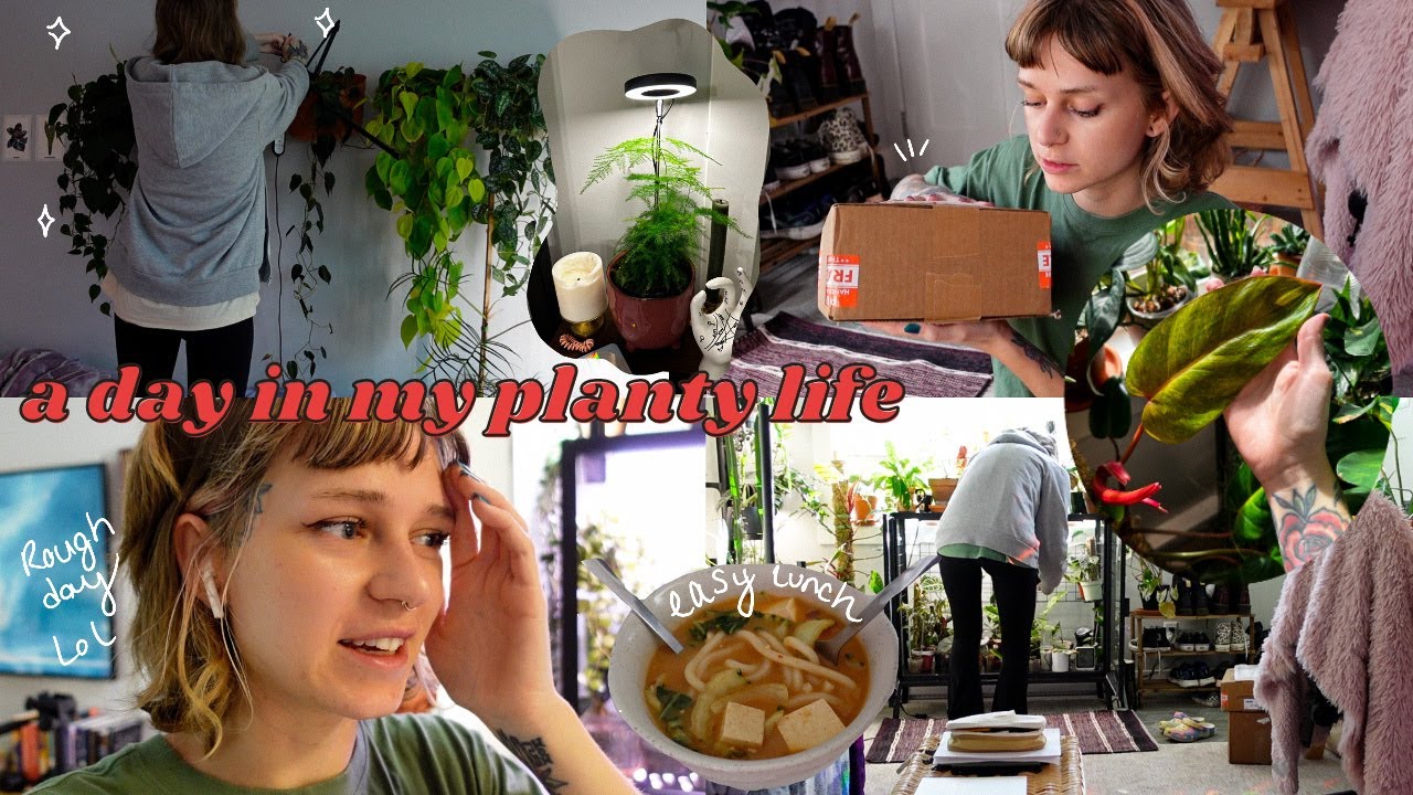 🌿 a day in my planty life (except it gets increasingly chaotic 💀)