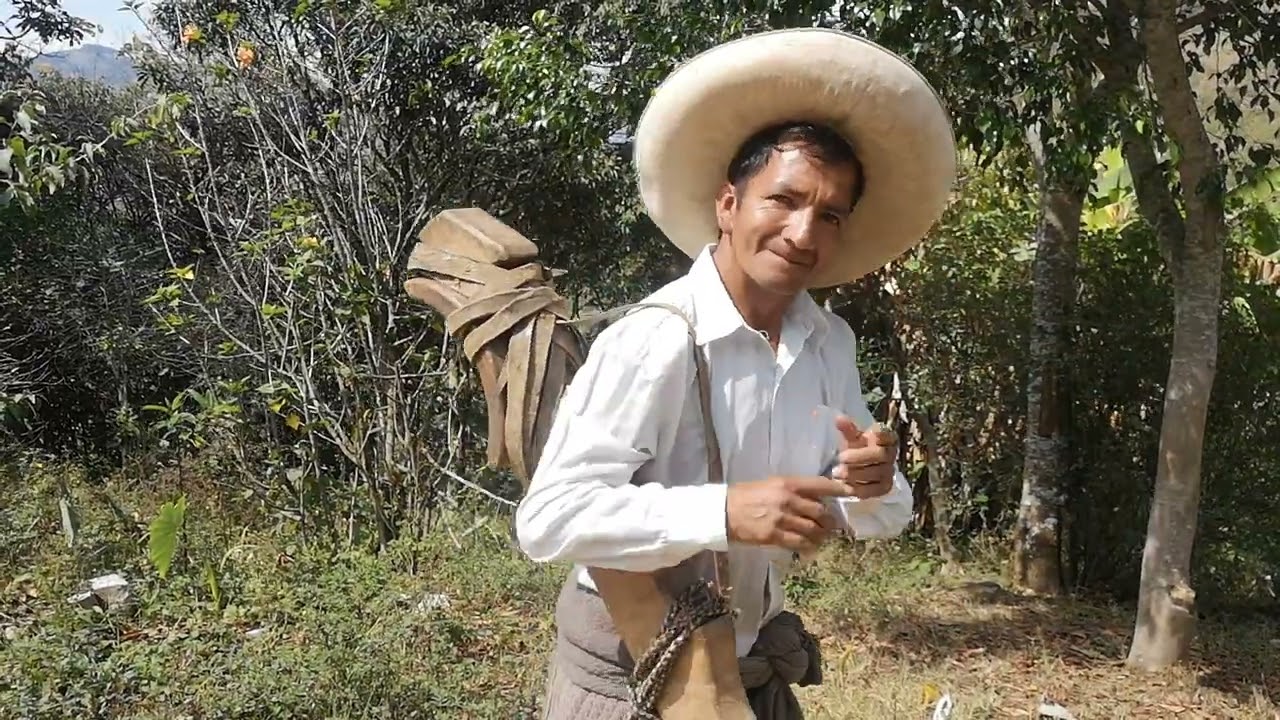 11 de octubre de 2024