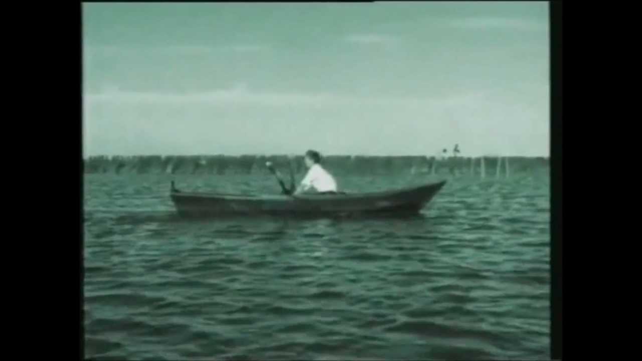 The Nits - In the Dutch mountains (1987)