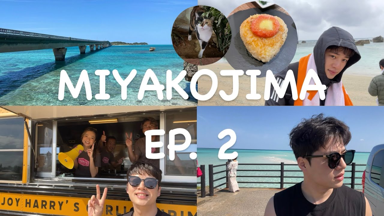 2월 미야코지마 4박5일 남자 혼자 여행 ep. 2 🐶🍙🌊😎🍺🌧️🍭🧂