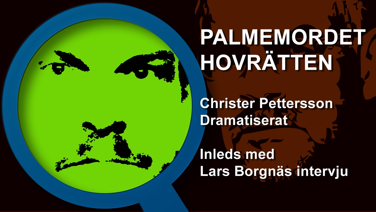 Palmemordet Hovrätten Christer Pettersson