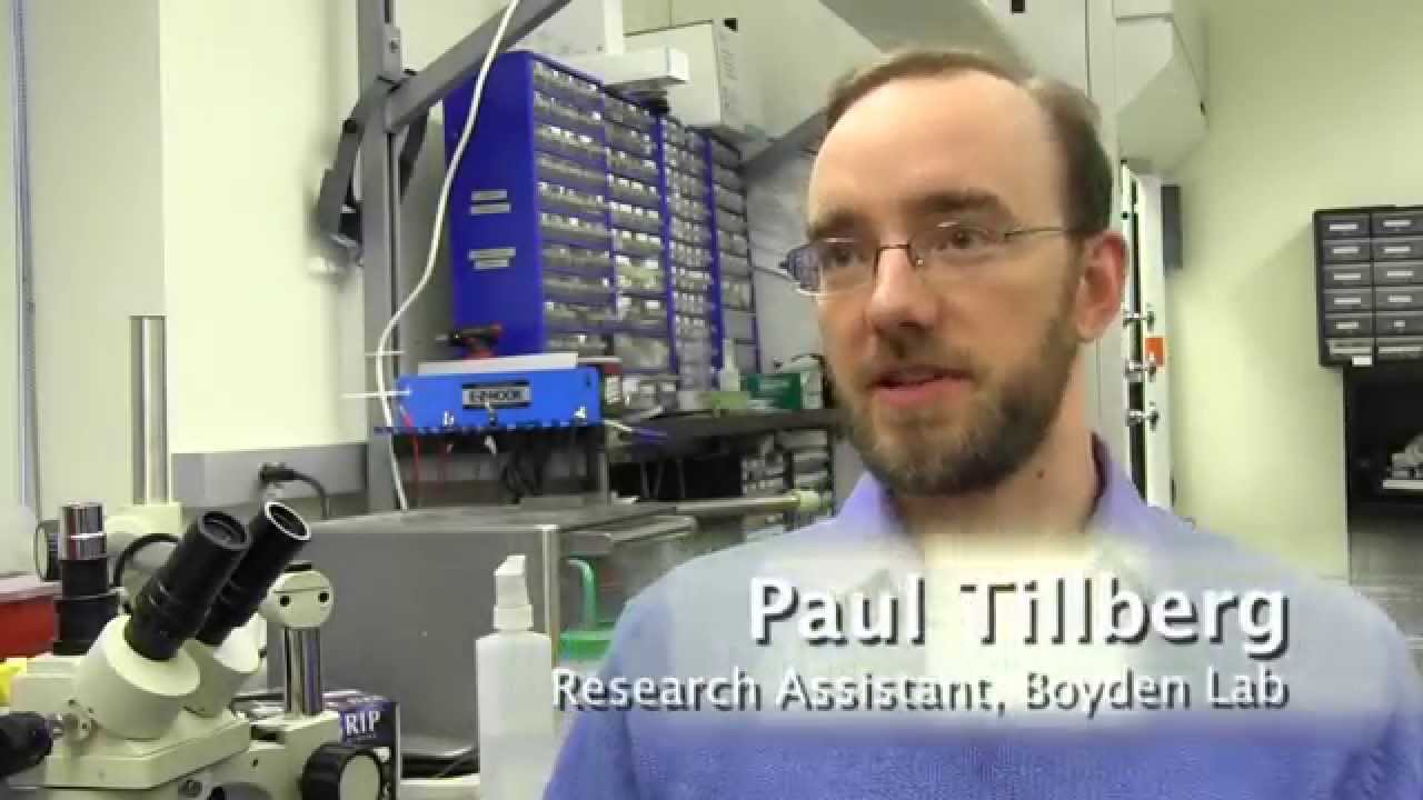 Expansion Microscopy Explained