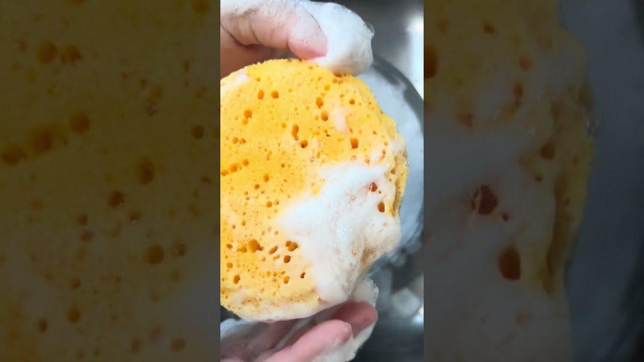 Slow Soapy Sponge Lather ASMR Video
