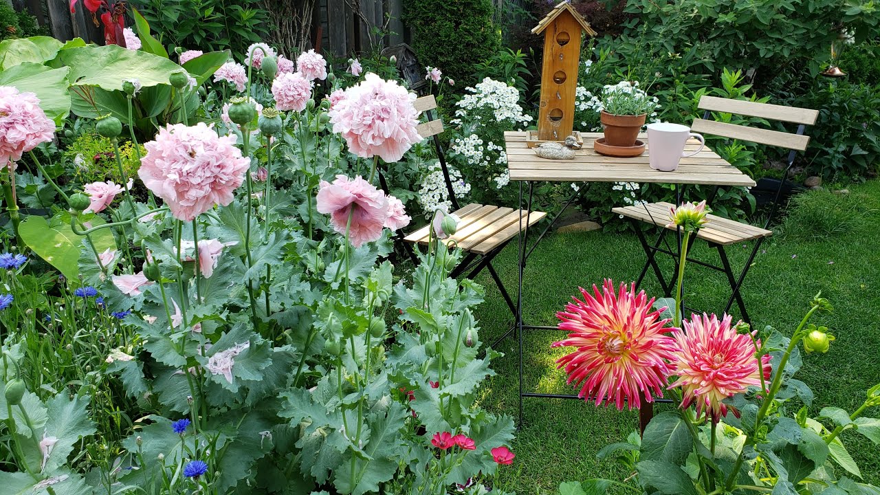 My Cottage Style City Garden (SUB)