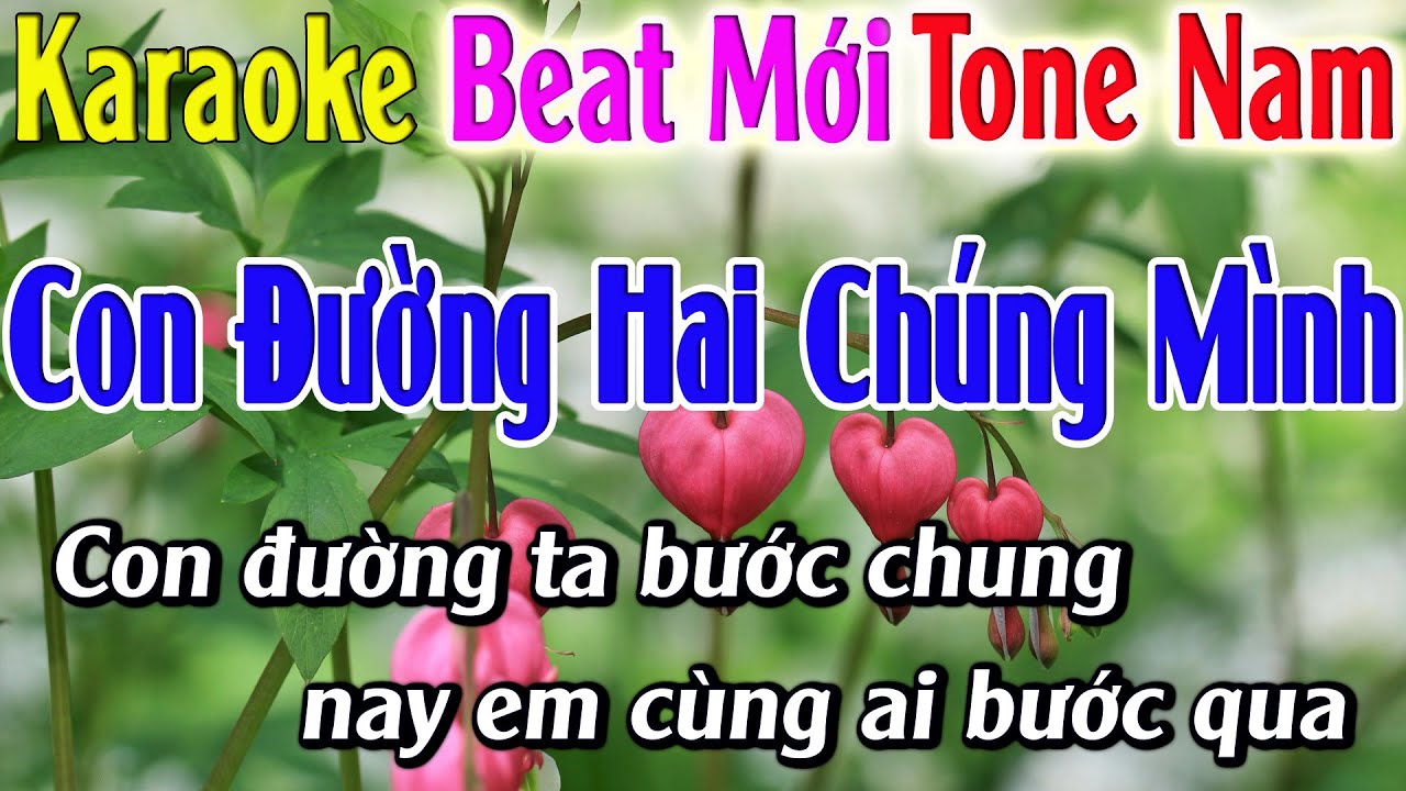 Con Đường Hai Chúng Mình Karaoke Tone Nam Karaoke Hải Nhạc Sống - Beat Mới