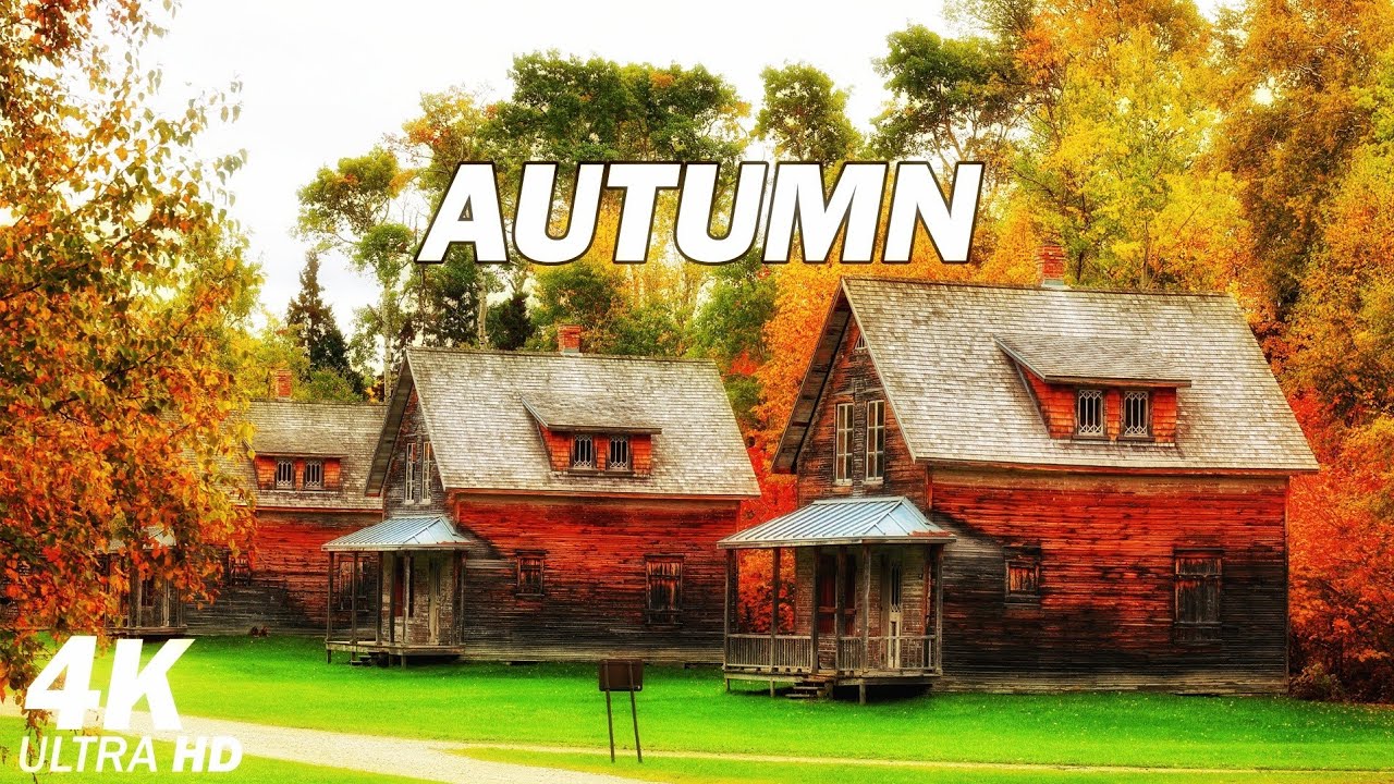 Enchanting Autumn Forests with Beautiful Romantic Music🍁4K Autumn Ambience