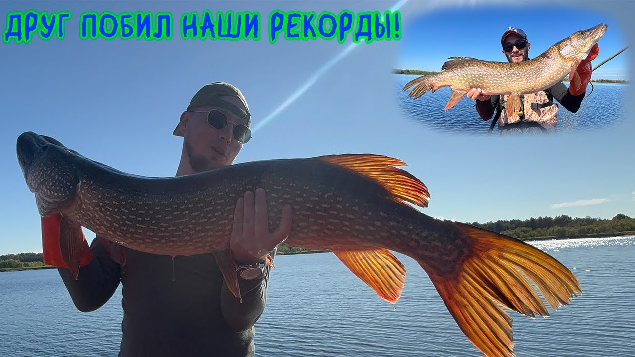 Монстры карьеров! Друг побил наши рекорды! #щука #окунь #спиннинг #рыбалка #трофеи