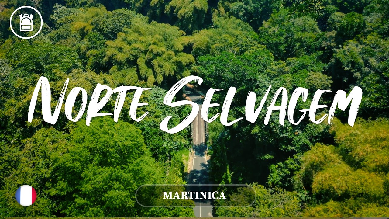 O que nunca te mostram da Martinica