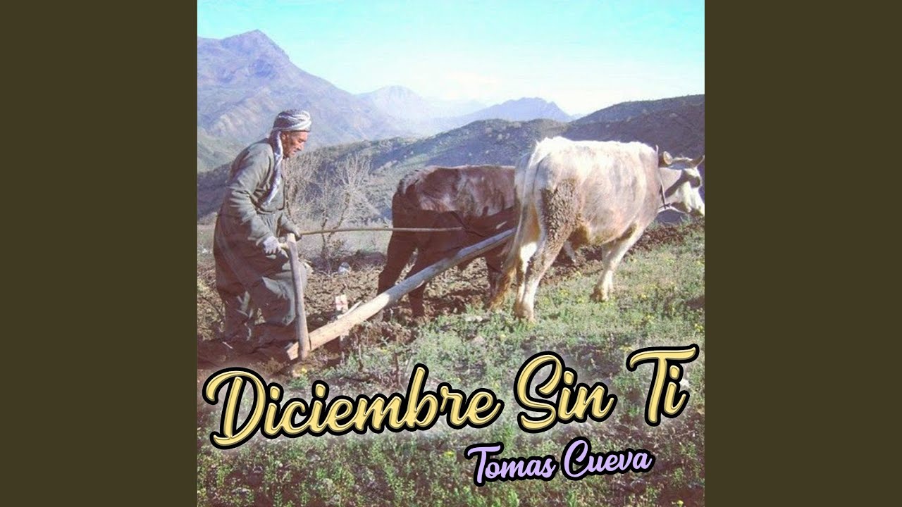 Diciembre Sin Ti