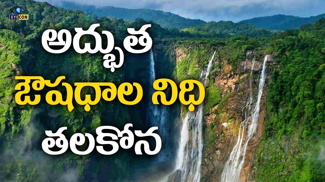 అద్భుత ఔషధాల నిధి తలకోన | Talakona Waterfalls | Talakona Forest,Tirupati | Eyecon Facts