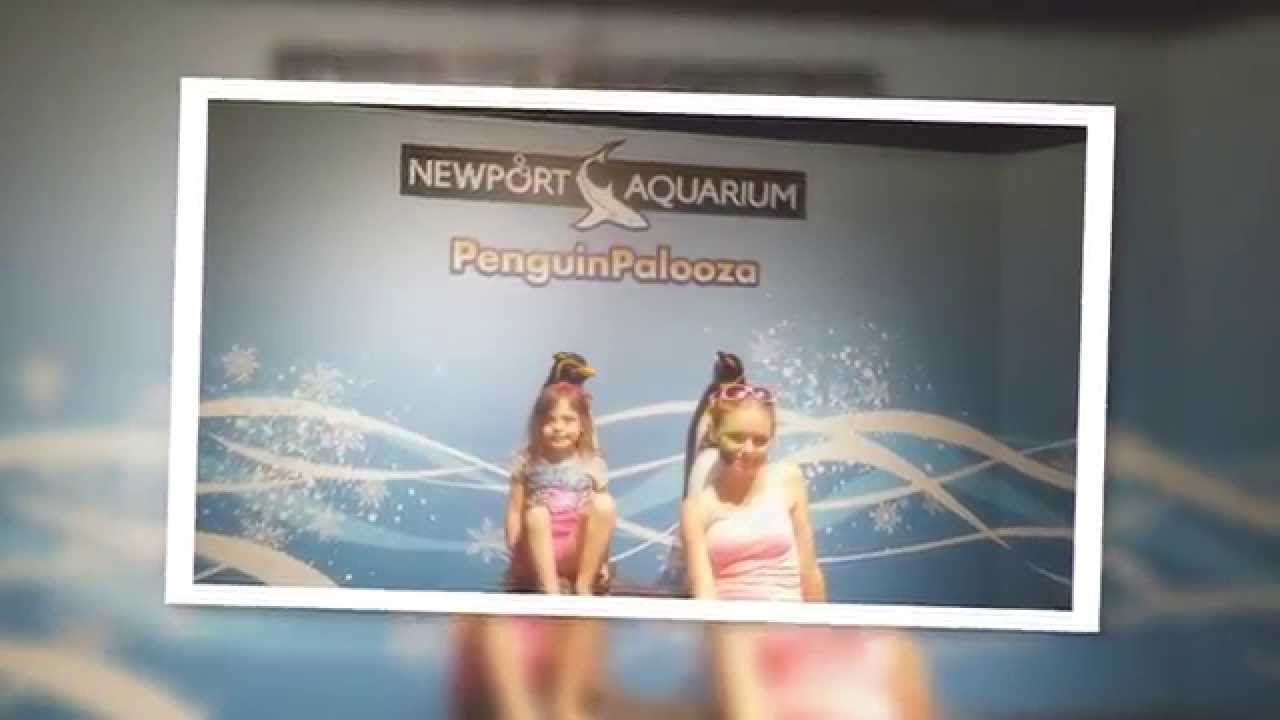 Family Trip To Newport Aquarium - Edit #2