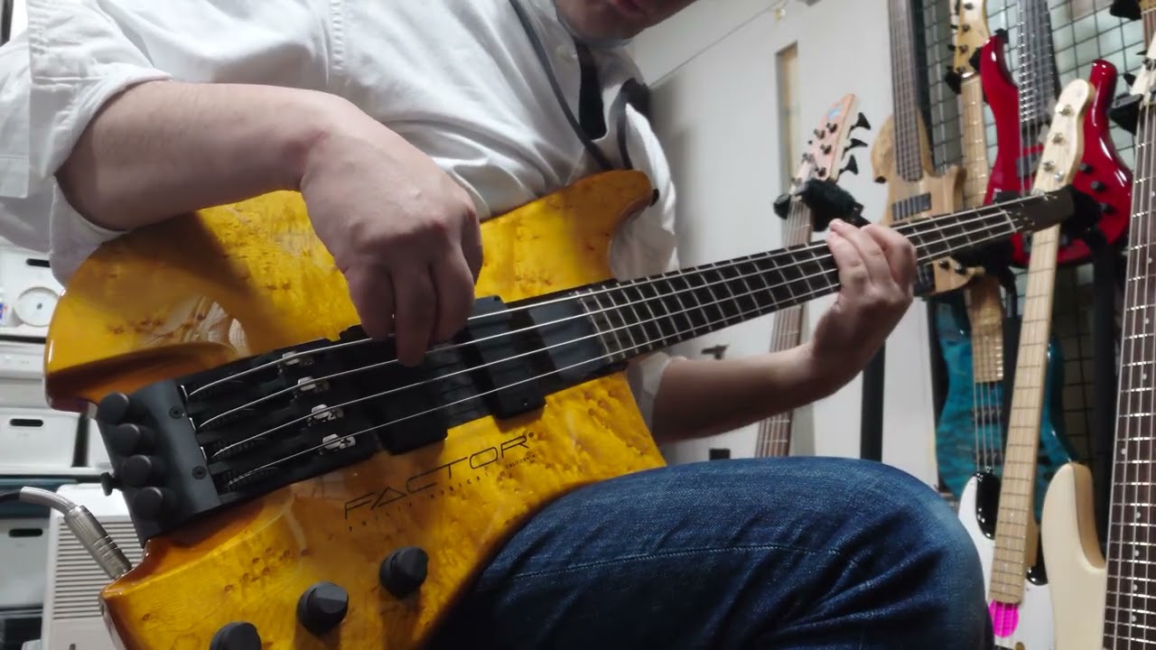 Philip Kubicki EX Factor 4 Birdseye Maple DEMO