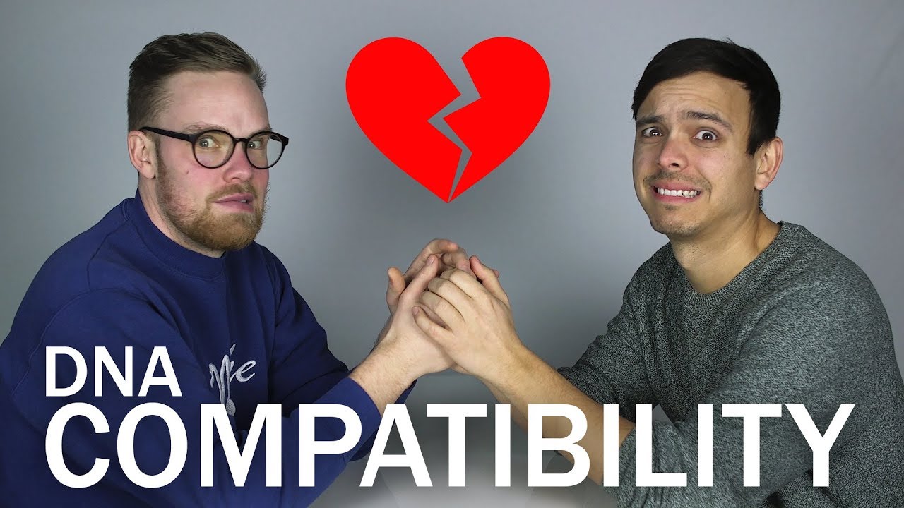 Should We Break Up? (DNA COMPATIBILITY TEST)