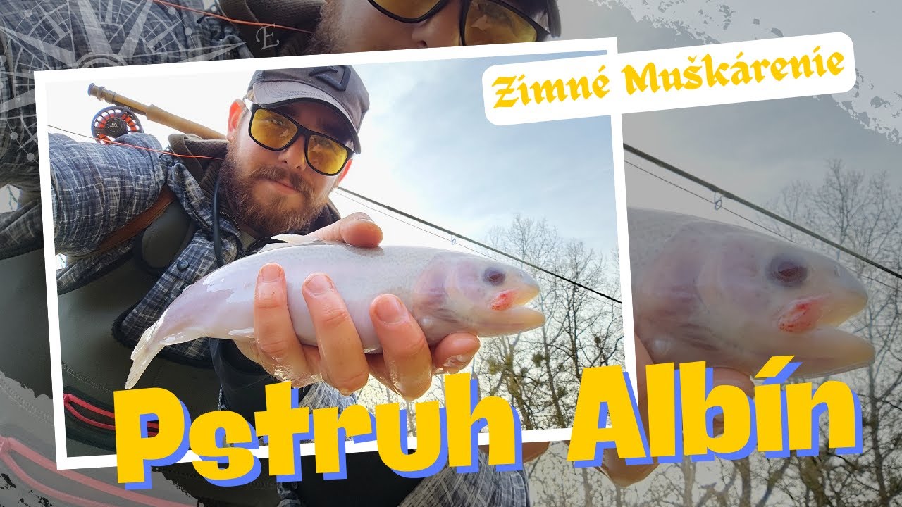 CHYTIL SOM ALBÍNA! 🐟 Muškárenie aj pre začiatočníkov, rady ako začať muškáriť