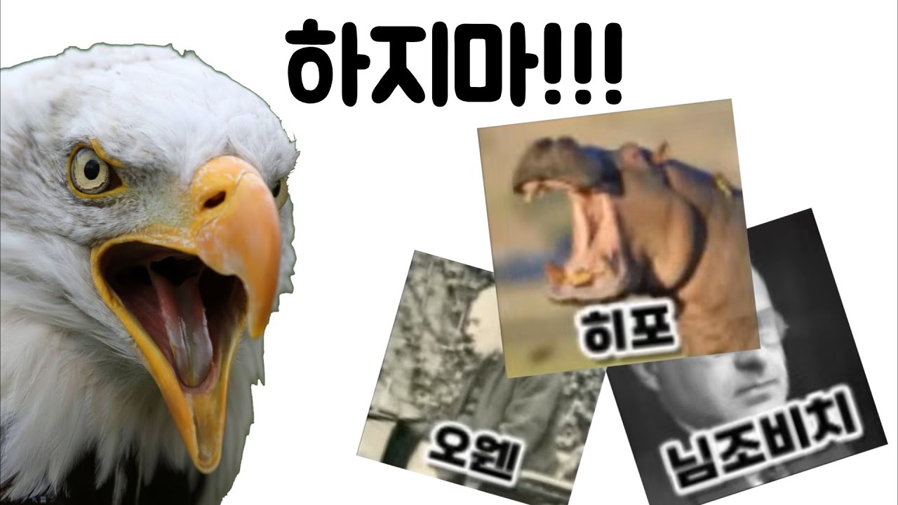 이준혁X슥슥이 오프닝 티어리스트 흑 9편 - 알레킨, 님조비치, 오웬, 히포[팬영상]