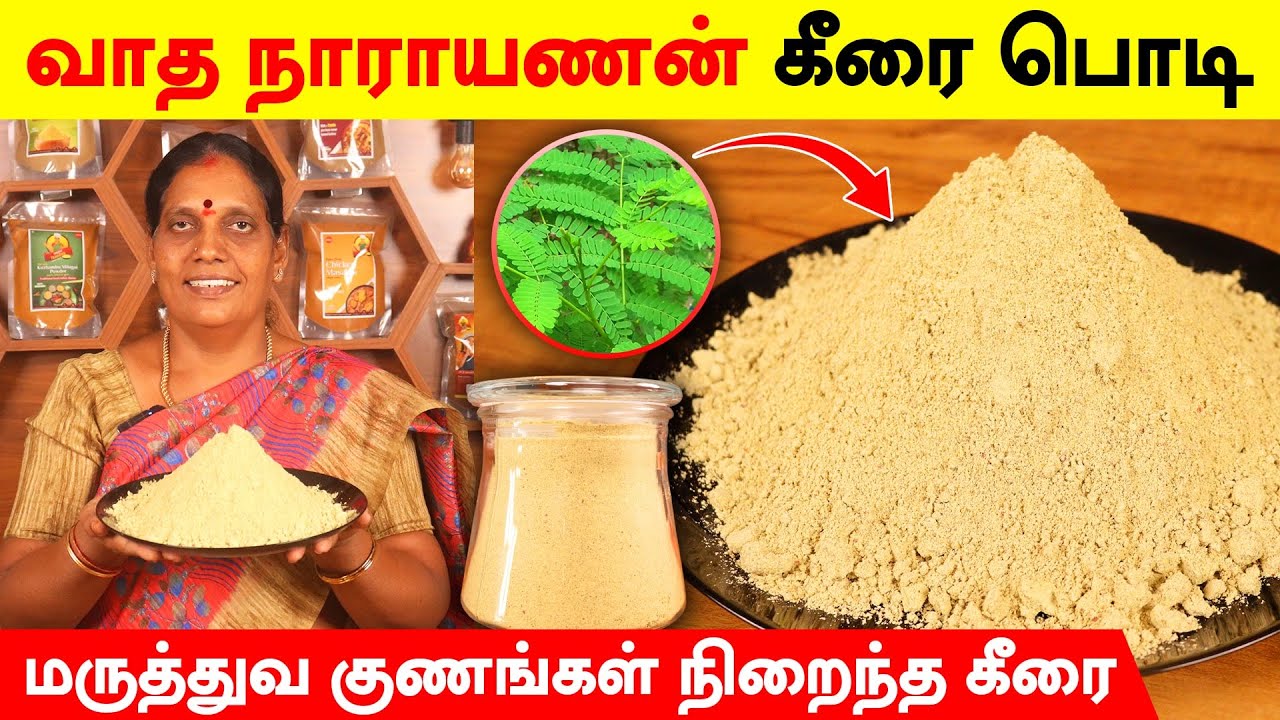 வாத நாராயணன் கீரை பொடி செய்முறை | வாத நோய்களுக்கான சிறந்த மருந்து | Vaadha Narayanan Keerai Podi