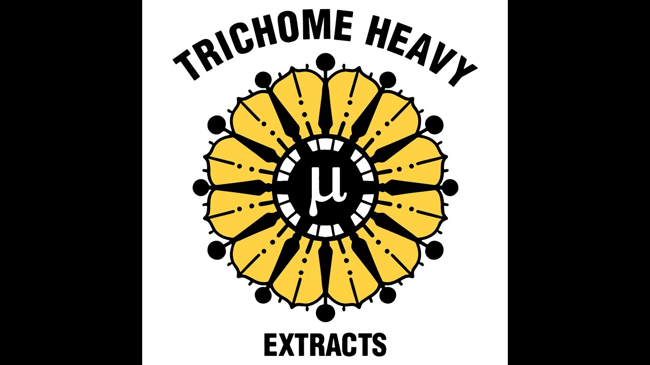 The Hashish Inn Podcast | Episode 7 - Jibbs from Trichome Heavy Extracts (Orange County, CA)