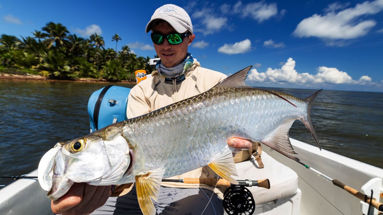 Рыбалка нахлыстом в Белизе в лодже El Pescador (остров Амбергриз-Кайе)
