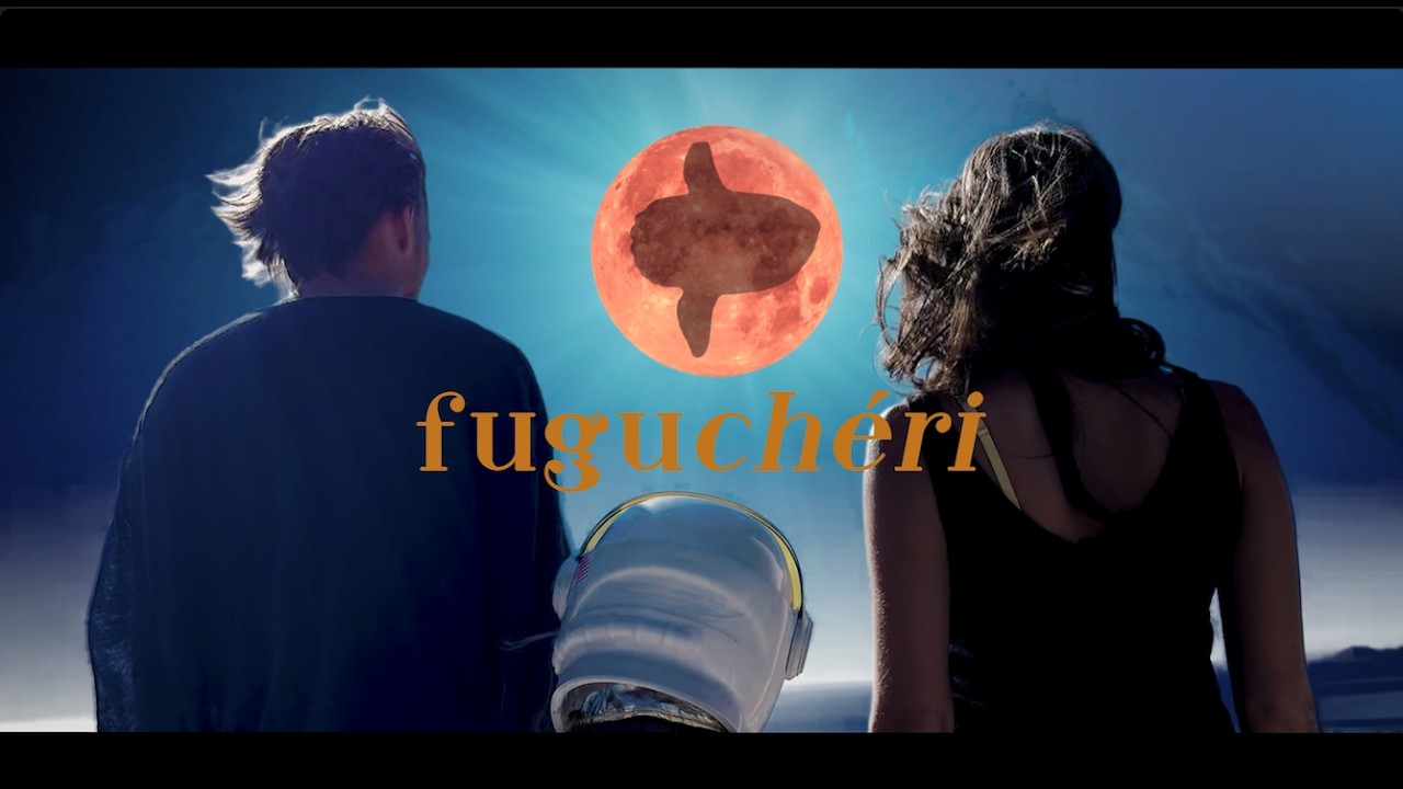 FUGUCHÉRI Minuit Sur La Terre