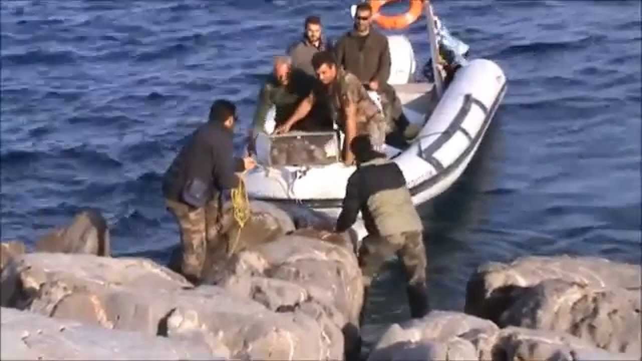 Κυνηγετικός σύλλογος Σητείας στη νήσο Ψείρα!
