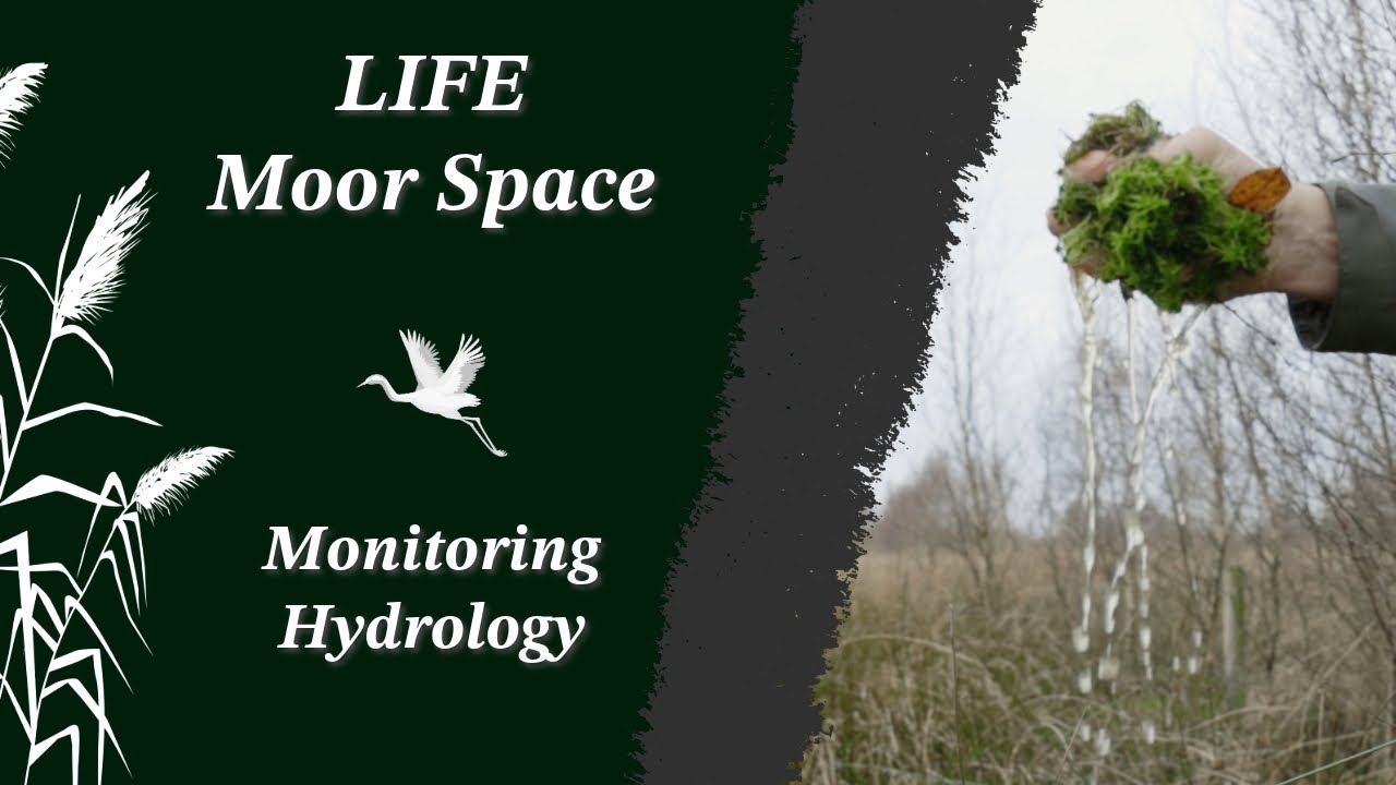 What have we done? - LIFE Moor Space