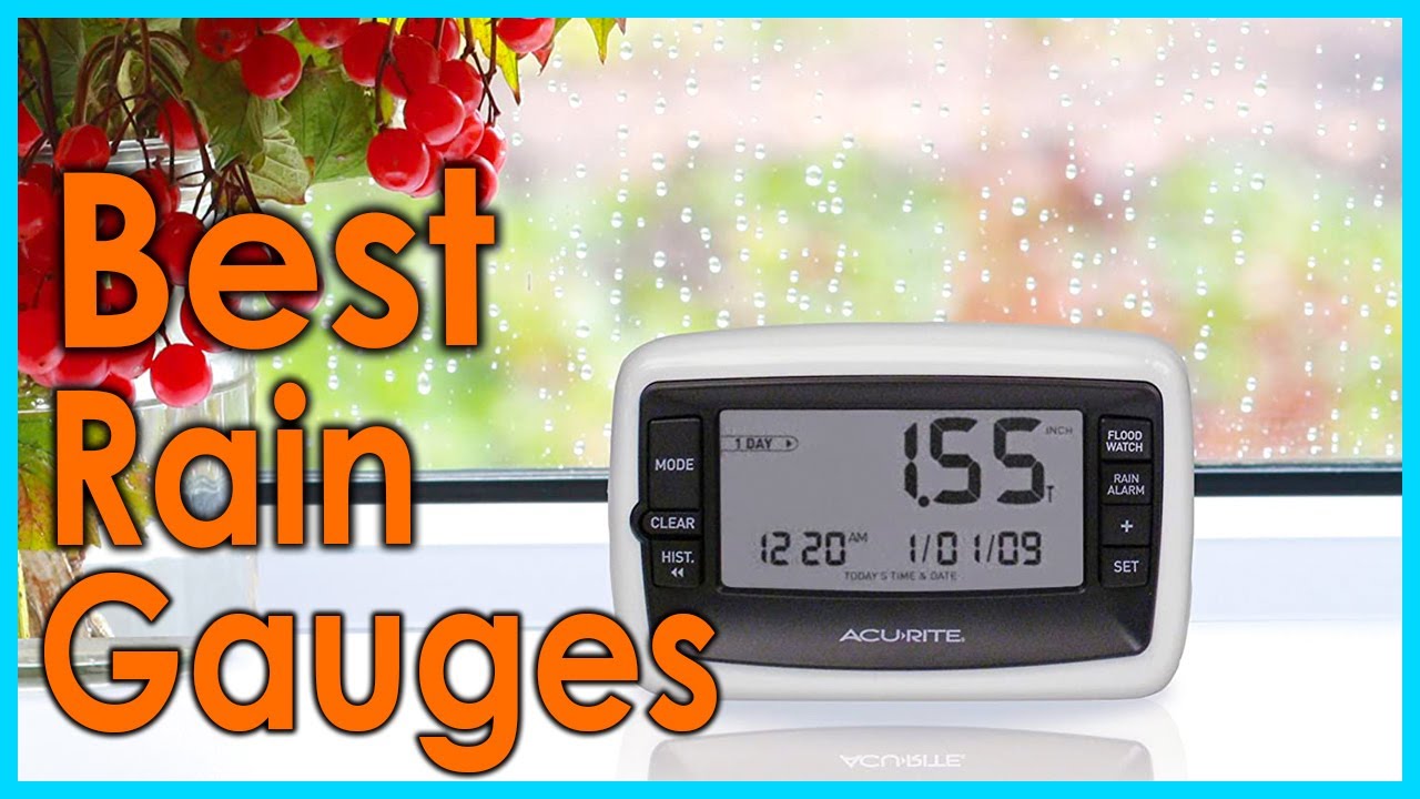 Best Rain Gauges [Top 5 Picks]
