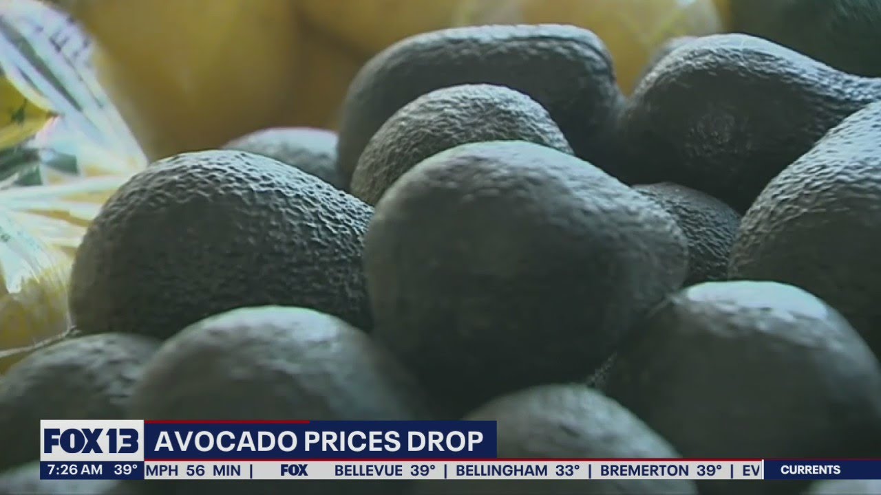 Avocado prices are dropping in the U.S. | FOX 13 Seattle