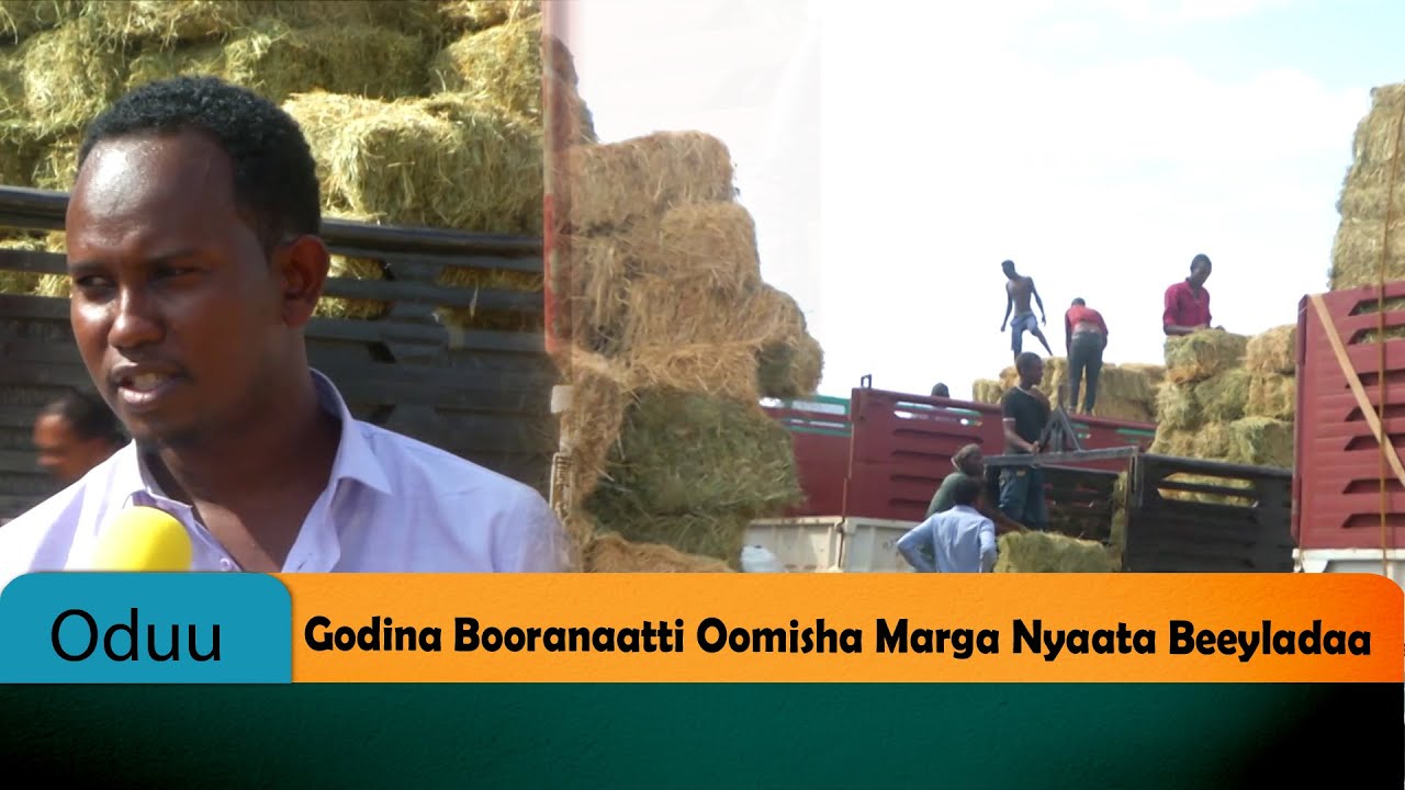 Godina Booranaatti Oomisha Marga Nyaata Beeyladaa