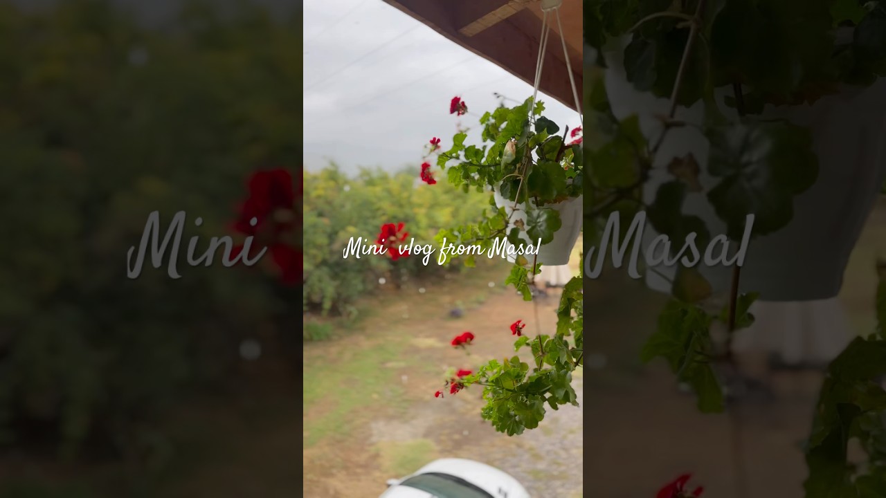 A summary of the trip to Masal village in iran/خلاصه ایی از طبیعت گردی در ماسال #village #travel