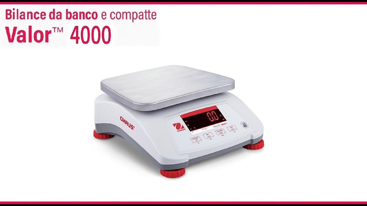 Compact Bench Scale Valor 4000