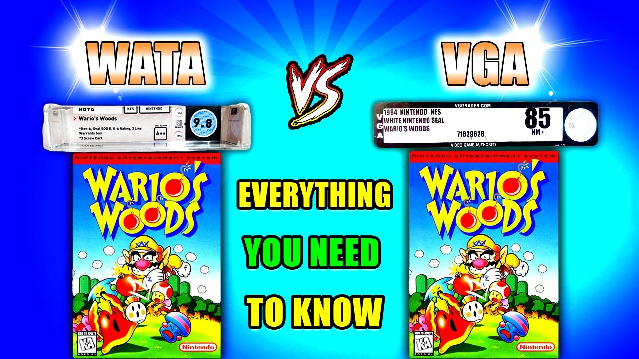 WATA против VGA: с кем вам лучше сдавать экзамены!? (Подробное руководство)