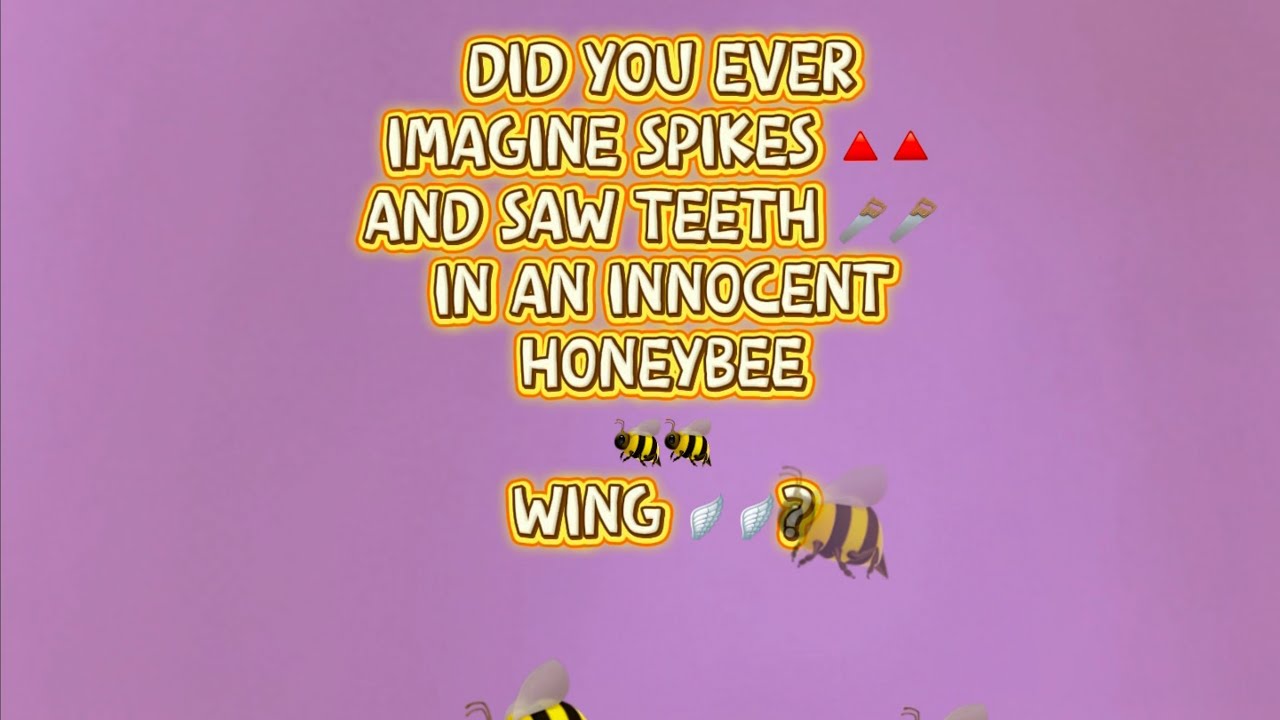 Honeybee 🐝 wing details revealed under the microscope 🔬