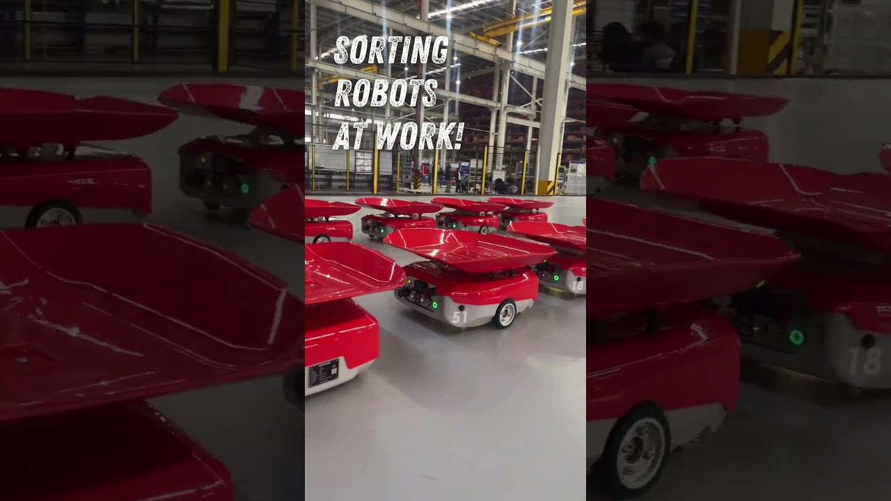 Meet the Robots That Never Stop Sorting! 🤖🔄