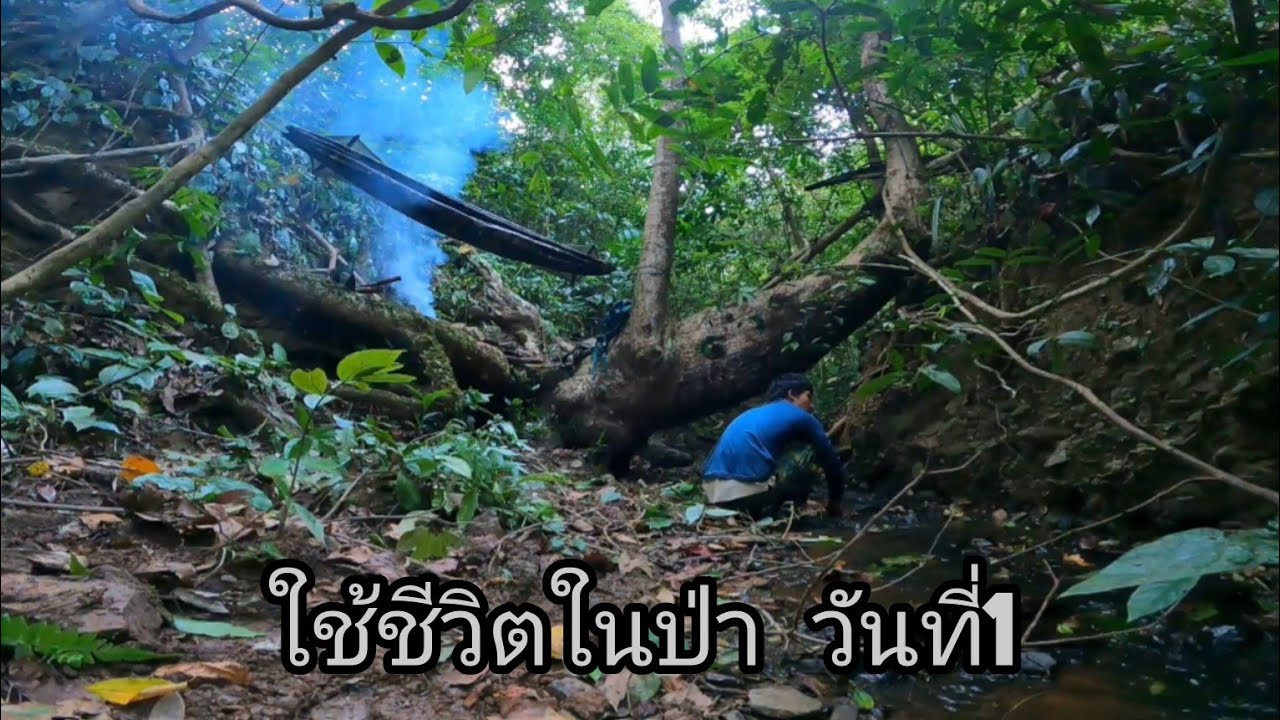 ใช้ชีวิตในป่า หาอาหาร 2คืน3วัน ผูกเปลนอนข้างลำธาร วันที่1
