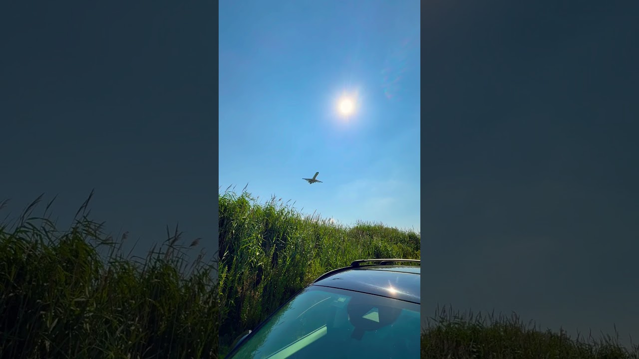 Plane Therapy with Dave! #aviation #planespotting #airplane #aviationphotography