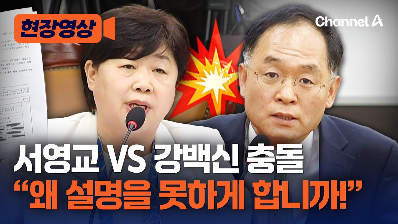 &ldquo;왜 설명을 못하게 하느냐&rdquo; 강백신 검사, 서영교에 고성 [현장영상] / 채널A