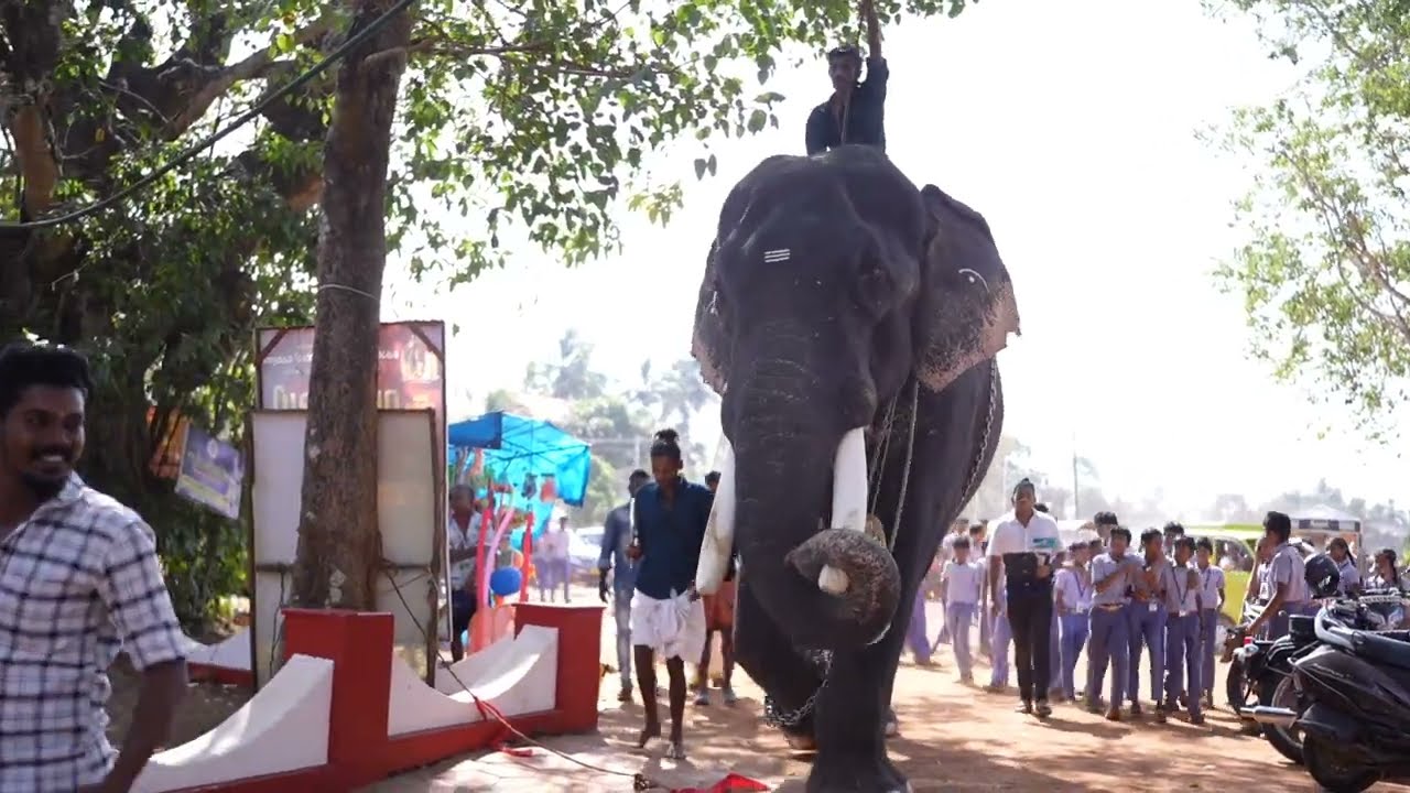 തെച്ചിക്കോട്ടുകാവ് പറപ്പുറപ്പാട് 2025 @PTPDevaswom