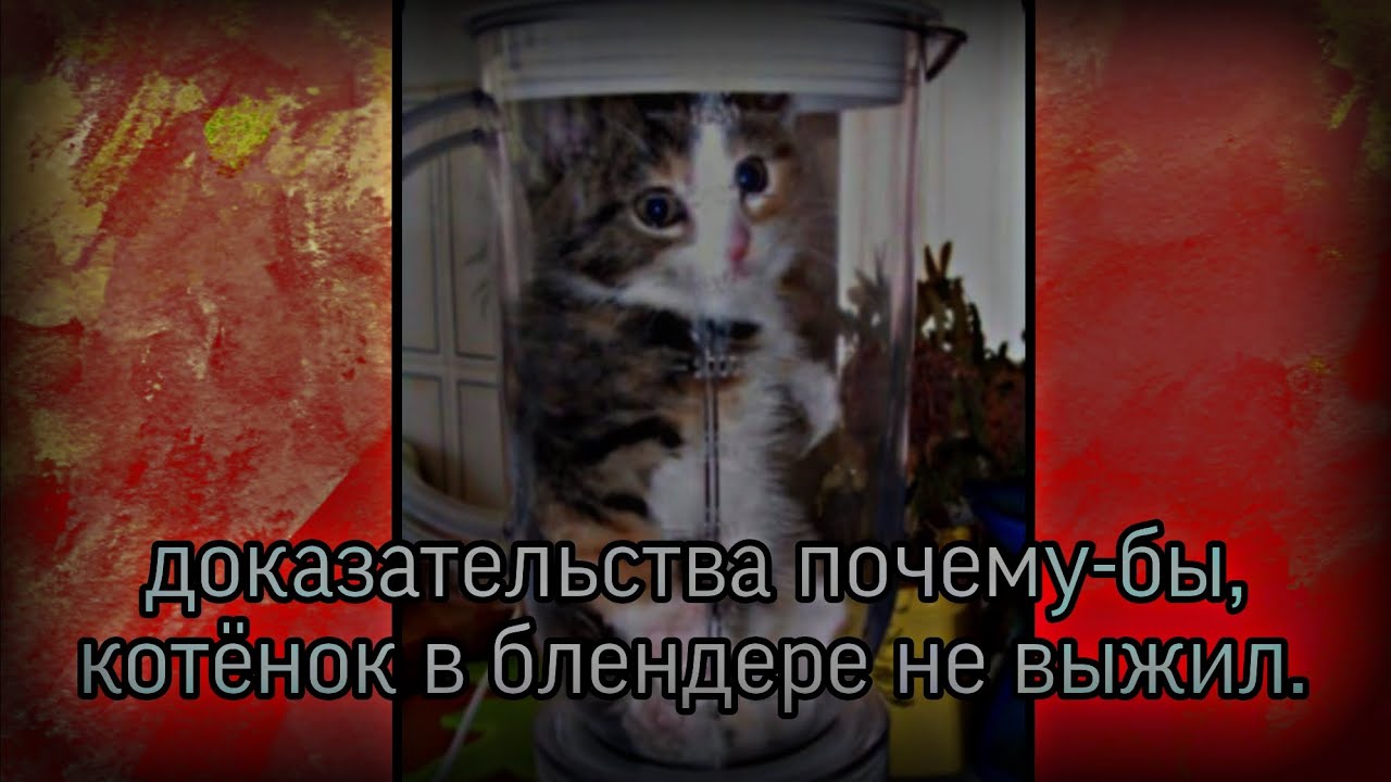 доказательства почему-бы, котёнок в блендере не выжел.
