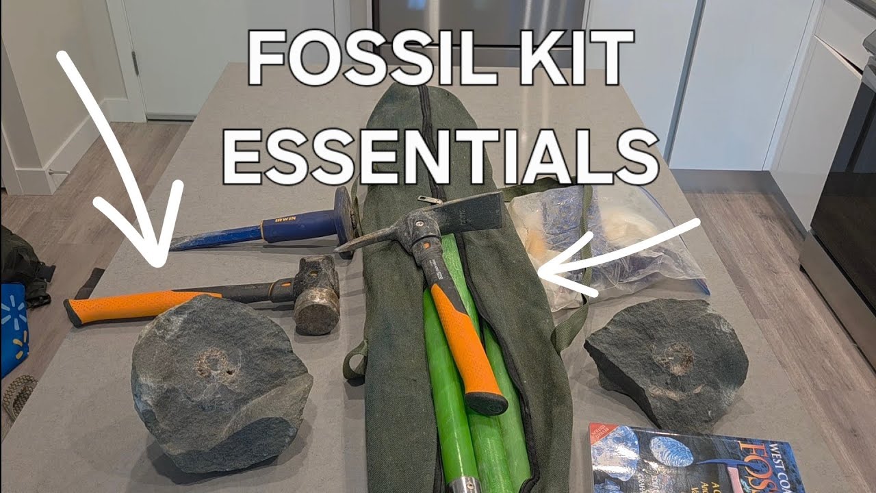 Everything You Need to Start Fossil Hunting | Beginner’s Gear Guide - Tools That Actually Work!