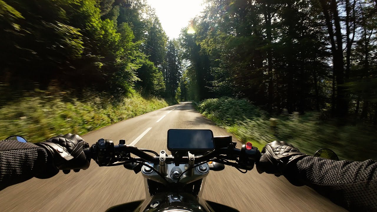 Ripping Through The Forest 🌳 | Yamaha FZ6 Raw Onboard [UNCUT]